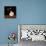 Playful Posies II-Jocelyne Anderson-Tapp-Mounted Giclee Print displayed on a wall