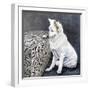 Playful Pup I-Carol Dillon-Framed Art Print