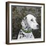 Playful Pup II-Carol Dillon-Framed Art Print