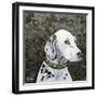 Playful Pup II-Carol Dillon-Framed Art Print