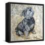 Playful Pup IX-Carol Dillon-Framed Stretched Canvas