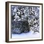 Playful Pup V-Carol Dillon-Framed Art Print