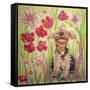 Playful Pup X-Carol Dillon-Framed Stretched Canvas