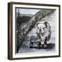 Playful Pup XI-Carol Dillon-Framed Art Print