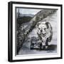 Playful Pup XI-Carol Dillon-Framed Art Print