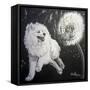 Playful Pup XII-Carol Dillon-Framed Stretched Canvas