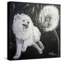 Playful Pup XII-Carol Dillon-Stretched Canvas