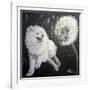 Playful Pup XII-Carol Dillon-Framed Art Print