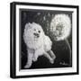 Playful Pup XII-Carol Dillon-Framed Art Print