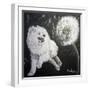 Playful Pup XII-Carol Dillon-Framed Art Print