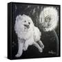 Playful Pup XII-Carol Dillon-Framed Stretched Canvas