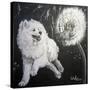 Playful Pup XII-Carol Dillon-Stretched Canvas