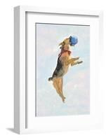 Playful Pups I-Debbie Nicholas-Framed Photographic Print