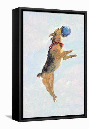 Playful Pups I-Debbie Nicholas-Framed Stretched Canvas