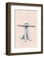 Playful Pups II-Debbie Nicholas-Framed Photographic Print