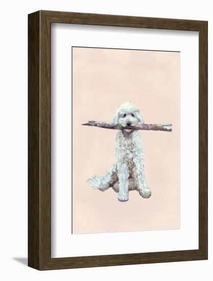 Playful Pups II-Debbie Nicholas-Framed Photographic Print