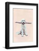 Playful Pups II-Debbie Nicholas-Framed Photographic Print