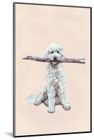 Playful Pups II-Debbie Nicholas-Mounted Photographic Print