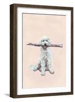 Playful Pups II-Debbie Nicholas-Framed Photographic Print