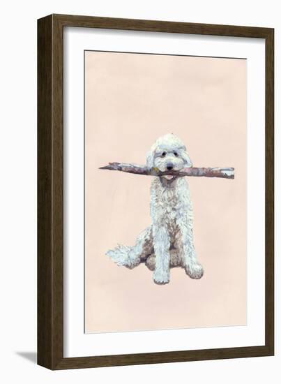 Playful Pups II-Debbie Nicholas-Framed Photographic Print