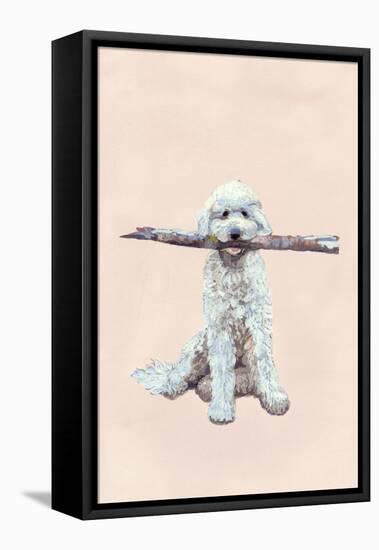 Playful Pups II-Debbie Nicholas-Framed Stretched Canvas