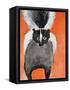 Playful Skunk-Madelaine Morris-Framed Stretched Canvas