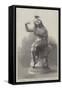 Playfulness, a Statuette in the British Institution-null-Framed Stretched Canvas