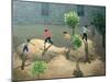 Playground, Lesbos, 1996-Andrew Macara-Mounted Giclee Print