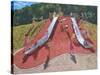 Playground, Markeaton Park, Derby-Andrew Macara-Stretched Canvas