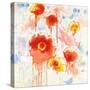 Playin with Poppies-Shirley Novak-Stretched Canvas