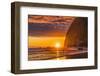 Playing birds colorful sunset, Haystack Rock, Canon Beach, Clatsop County, Oregon.-William Perry-Framed Photographic Print