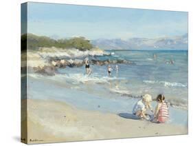 Playing by the Sea-Paul Brown-Stretched Canvas