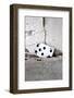 Playing Card, Seven of Spades-Jule Leibnitz-Framed Photographic Print