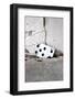 Playing Card, Seven of Spades-Jule Leibnitz-Framed Photographic Print
