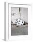 Playing Card, Seven of Spades-Jule Leibnitz-Framed Photographic Print