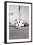 Playing Card, Seven of Spades-Jule Leibnitz-Framed Photographic Print