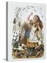 Playing Cards - in “The Nursery “” Alice in Wonderland”” by Lewis Carroll, Illustration by John Ten-John Tenniel-Stretched Canvas