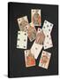 Playing Cards-Matthias Backofen-Stretched Canvas