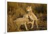 Playing Cheetah Cubs-Paul Souders-Framed Photographic Print