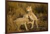 Playing Cheetah Cubs-Paul Souders-Framed Photographic Print