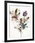 Playing Flower 1-Design Fabrikken-Framed Art Print