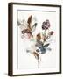 Playing Flower 1-Design Fabrikken-Framed Art Print