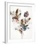 Playing Flower 1-Design Fabrikken-Framed Art Print