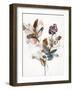 Playing Flower 1-Design Fabrikken-Framed Art Print