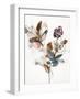 Playing Flower 1-Design Fabrikken-Framed Art Print