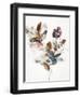 Playing Flower 1-Design Fabrikken-Framed Art Print