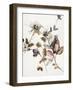 Playing Flower 2-Design Fabrikken-Framed Art Print