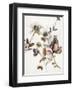 Playing Flower 2-Design Fabrikken-Framed Art Print