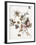 Playing Flower 2-Design Fabrikken-Framed Art Print