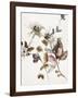 Playing Flower 2-Design Fabrikken-Framed Art Print